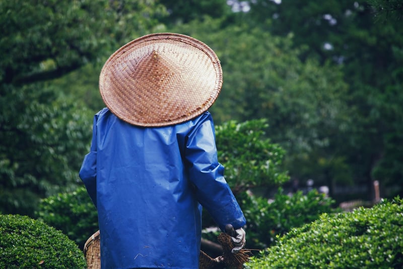 Healthy Garden